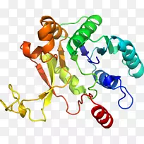 生物线动物剪贴画线-空若网 生物线动物剪贴画线-空若网