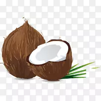 椰子材料-椰子-空若网 椰子材料-椰子-空若网