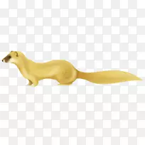 犬科动物犬-空若网 犬科动物犬-空若网