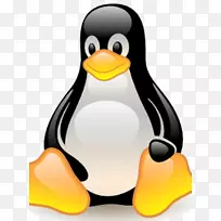 linux计算机软件操作系统windows server-linux-空若网 linux计算机软件操作系统windows server-linux-空若网