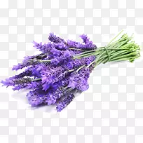 英国薰衣草油-空若网 英国薰衣草油-空若网