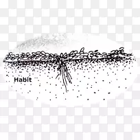 �����ߵ��ɫ����̺ʹ�-������