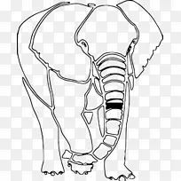 印度象非洲灌木象手指夹艺术鼻-空若网 印度象非洲灌木象手指夹艺术鼻-空若网