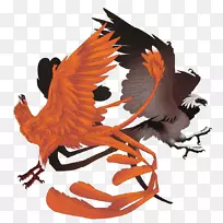 ๹�Ƥ��-������