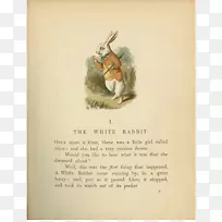 ����˿���ɾ��е�ð��-������˿��-���ð���˿-������