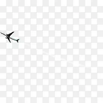 白色飞机-空若网 白色飞机-空若网