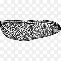 ͼ���ļ���ʽ����-���ѳ��-������