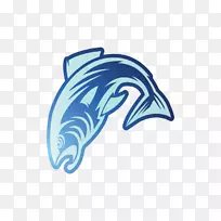 海豚标志头盔字体-海豚-空若网 海豚标志头盔字体-海豚-空若网