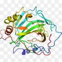 线点树剪贴画线-空若网 线点树剪贴画线-空若网