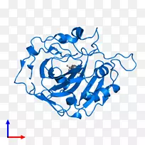 线点剪贴画-线-空若网 线点剪贴画-线-空若网
