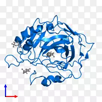 ƽ����Ƽ�����.���-������