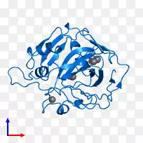 �߼�����-��-������