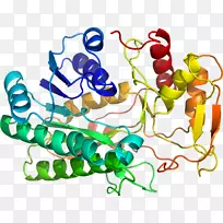 人体首饰有机体线剪贴画线-空若网 人体首饰有机体线剪贴画线-空若网