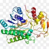 人体首饰有机体线剪贴画线-空若网 人体首饰有机体线剪贴画线-空若网
