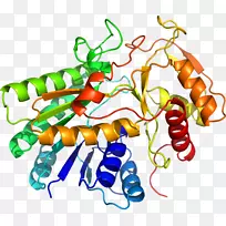 �޼�׵����ʳ��������������-������