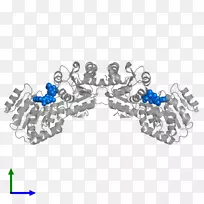 车身珠宝字体设计-空若网 车身珠宝字体设计-空若网