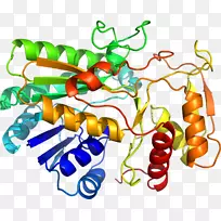 蔬菜有机体系列剪贴画-蔬菜-空若网 蔬菜有机体系列剪贴画-蔬菜-空若网
