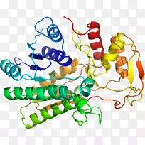直线点生物动物剪贴画线-空若网 直线点生物动物剪贴画线-空若网