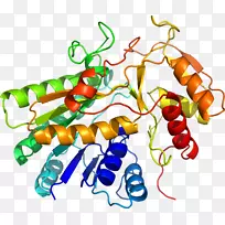 艺术身体珠宝有机体线剪贴画线-空若网 艺术身体珠宝有机体线剪贴画线-空若网