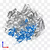 �ߵ���-��-������