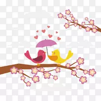 爱鸟-爱情鸟-空若网 爱鸟-爱情鸟-空若网