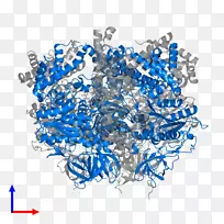 车身珠宝线字体-珠宝-空若网 车身珠宝线字体-珠宝-空若网