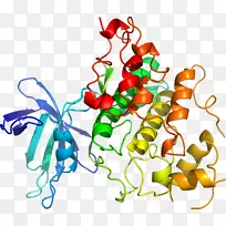 �����߲��߼���������-������