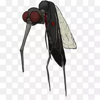 昆虫-空若网 昆虫-空若网