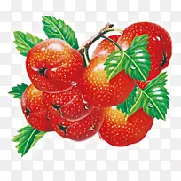 草莓辅食蔬菜樱桃-空若网 草莓辅食蔬菜樱桃-空若网