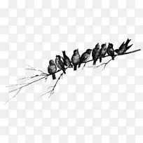 ϸ֦����������������-������