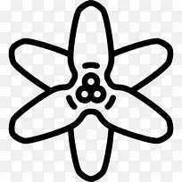 �������ѧ�Ҳ��Ͽ�ѧ-������