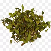 水飞蓟草本植物药用植物开花植物-空若网 水飞蓟草本植物药用植物开花植物-空若网