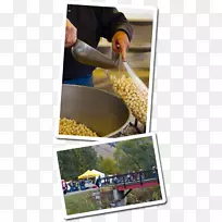 ���-ˮ������-������