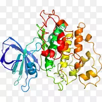 Êß²ËÓлúÌåϵÁж¯Îï¼ôÌù»-Êß²Ë-¿ÕÈôÍø Êß²ËÓлúÌåϵÁж¯Îï¼ôÌù»-Êß²Ë-¿ÕÈôÍø