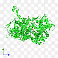 ������ѧϤ���ѧ�����Լ�������-����-������