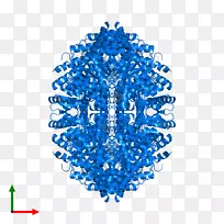 �ߵ���������-������