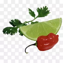 青木瓜色拉柠檬酸橙青柠檬-空若网 青木瓜色拉柠檬酸橙青柠檬-空若网