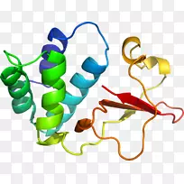生物线动物剪贴画线-空若网 生物线动物剪贴画线-空若网