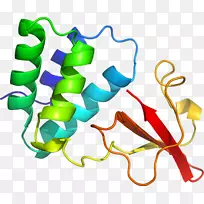 �����鱦���л����������-������