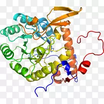 线点生物剪贴画线-空若网 线点生物剪贴画线-空若网