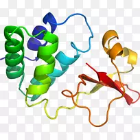 人体珠宝剪贴画.设计-空若网 人体珠宝剪贴画.设计-空若网
