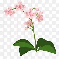 兰花剪贴画-植物边界-空若网 兰花剪贴画-植物边界-空若网