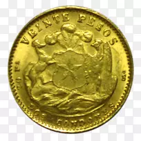 ��ҽ��-������