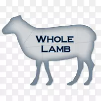 马鼻子文字标志字体-马-空若网 马鼻子文字标志字体-马-空若网