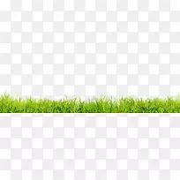 ��ƺ�����ֽ��Ӱ��������ƽ-������