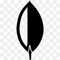 MongoDB数据库解决方案栈php-空若网 MongoDB数据库解决方案栈php-空若网