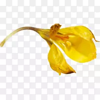 ����-������