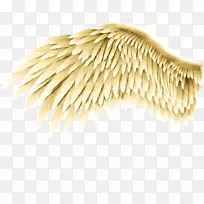 ����ʹ���������-��-������