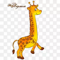 长颈鹿颈陆生动物剪贴画长颈鹿-空若网 长颈鹿颈陆生动物剪贴画长颈鹿-空若网