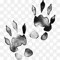 动物轨迹创造力黑色-创造性黑色动物脚印-空若网 动物轨迹创造力黑色-创造性黑色动物脚印-空若网